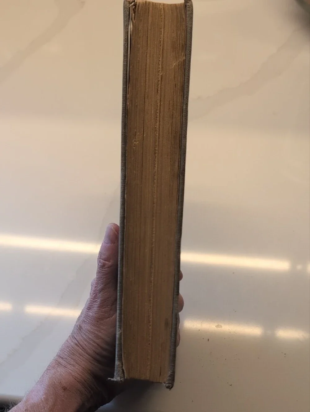 Vintage 1922 My Northern Exposure 1st Ed Antique Book Rare Collectible UNIQUE